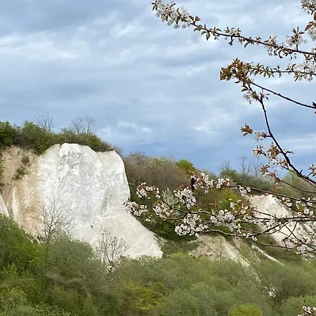 - Fisch Am Kleinen Königsstuhl